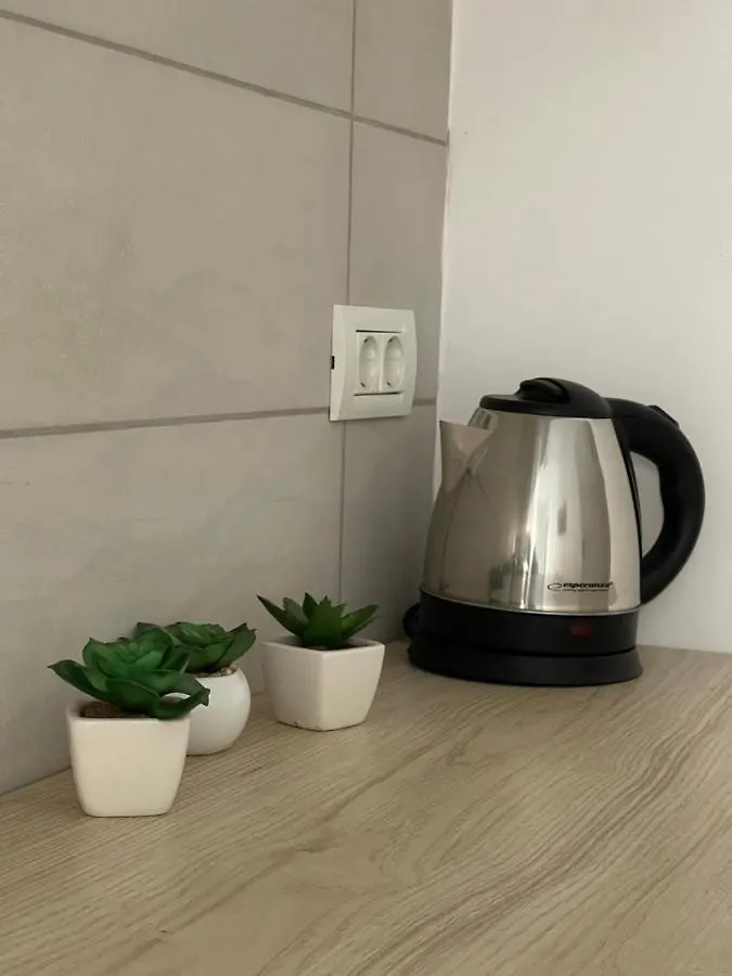 Plaza Luxury Apartment Near Presidential Palace 부쿠레슈티